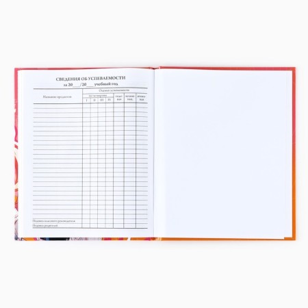 School diary for grade 1-11, in a solid cover, 40 l. "Anime. Girl"-4