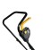 Electric Lawn mowed Huter ELM-1000, 1000 W, 3100 rpm, width/height 32/25-65 cm