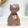 Piggy bank "Cat in a tie" brown, 20x16x16cm