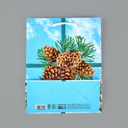 New Year's Gift Laminated Gift "Happy New Year", cones, MS 18 x 23 x 8 cm, New Year-4