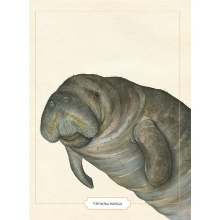 Encyclopedia of amazing animals. Sami Bailey-6