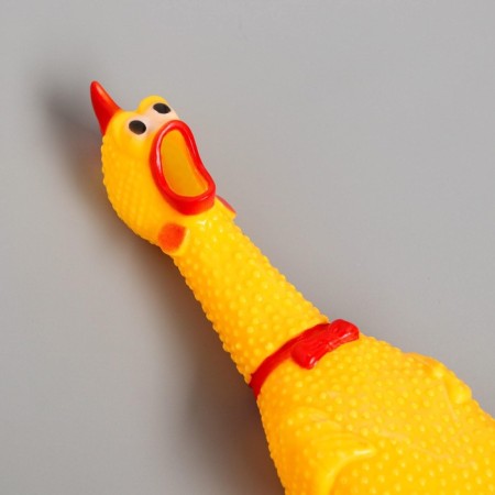 Toy Brush "Chicken", 30 cm, in the mouth-6