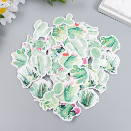 Stickers for creativity "Blooming succulents" set 46 pcs 4.4x4.4x1.1 cm