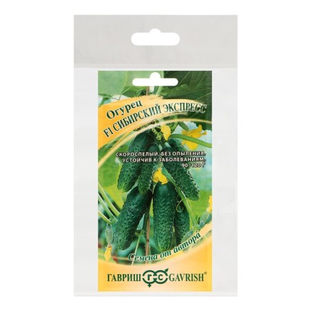 Siberian Express cucumber seeds, set 5 pcs-2