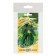 Siberian Express cucumber seeds, set 5 pcs