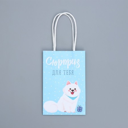 Gift Craft Package, Packaging, “Surprise for You”, 15 x 10 x 6 cm-4