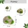 Artificial moss "Stones", with stone crumbs, set of 6 pcs., Greengo