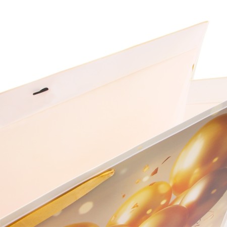 Laminated package "Congratulations", XXL 61 x 46 x 20 cm-3