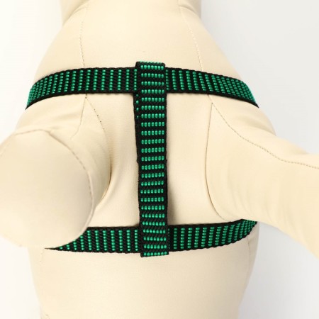 Acunition set is embossed, leash 120 x 1.5 cm, OG 36-49 cm, green-black-4
