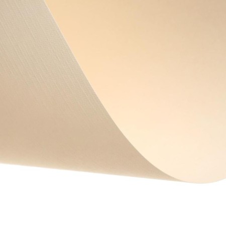 A4, 210 x 297 mm pastel folder, 20 sheets, tinted paper, ivory, Goznak "canvas", block 200 g/m²-3