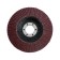 Circle of petal conical scrap, 115 x 22 mm, p80