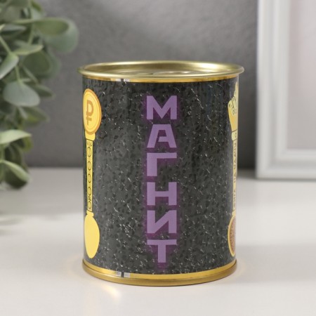 Pigging bank Metal "Magnet Money"-1