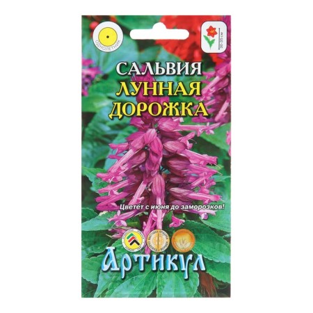 Salvia flowers "Lunar path", 10 pcs