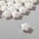 Plastic beads "stars", set 50 pcs., 1.1 × 1.1 × 0.5 cm, white color