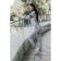 Female Female Suit, size 44, gray color, blue
