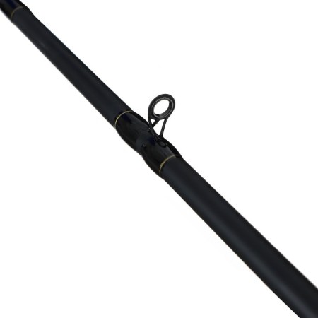 Rod feeder "Volgar", test 1-100 g, length 3.6 m-2