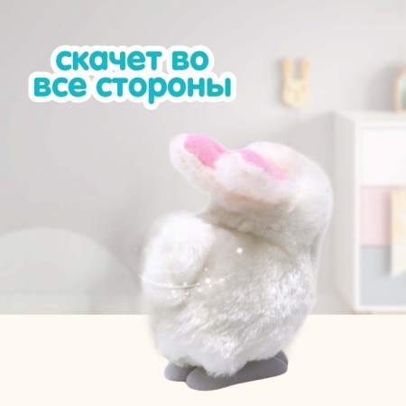 Clockwork toy "Rabbit"-3