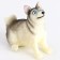 Miniature Puppet "Husky"