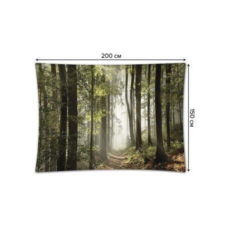 Decorative panel with photo printing "Forest in the fog", horizontal, size 150x200 cm-1