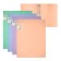 Folder on 4 rings A4, Erichkrause "Matt Pastel Bloom", 24 mm, mix