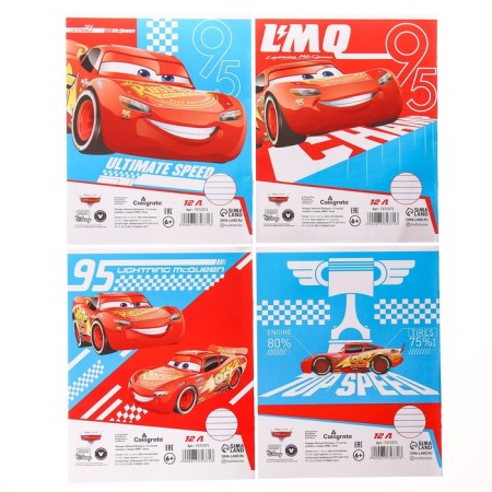 Notebook in a ruler of 12 sheets, 4 types of mix, cover coated paper, wheelbarrows-4