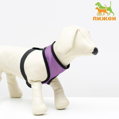 Slut is soft from neoprene, size XL, Osh 42 cm, OG 38-50 cm, purple