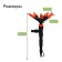 Spray 5 - flowerpot, fitting for hoses 1/2 (12 mm) - 3/4 "(19 mm), peak, plastic," beetle "