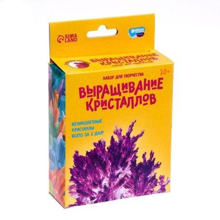 Set for creativity "radiant crystals", purple color-4