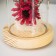 Nightlight "burgundy flowers" LED from batteries 3xlr44 10x10x20 cm Risalux