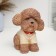 Poodle Poodle brown, 18x16x10cm