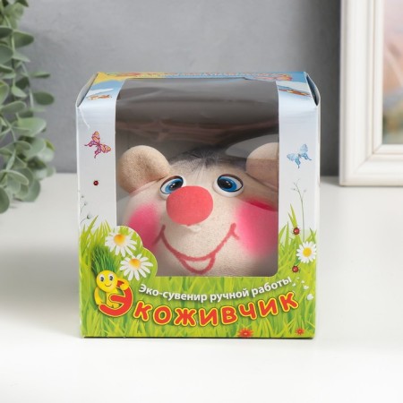 Growing gift Eco -Zhizhivchik "Hedgehog" MIX Gift packaging-4