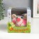 Growing gift Eco -Zhizhivchik "Hedgehog" MIX Gift packaging