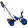 Three -haired bike "Vivat 3 ray", blue color