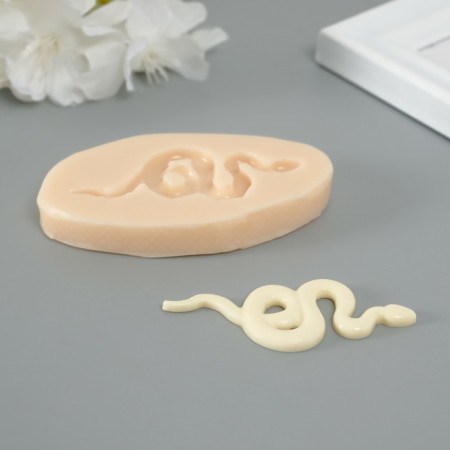 Mold Silicon "Smooth Snake" 0.3x6x2.5 cm-1