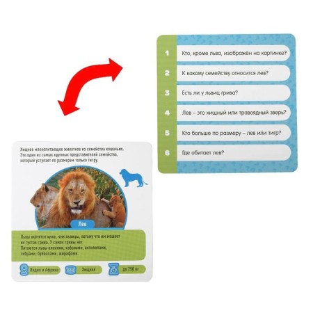 The board game-book "Box of Knowledge. Facts about animals ", 50 cards, cubes, 5+-3