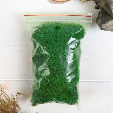 The moss stabilized "green" 45 gr (+-5 gr).-2