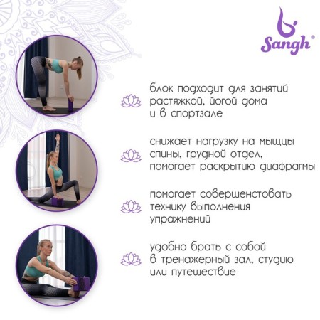 Sangh yoga block, 23 × 15 × 8, purple color-2