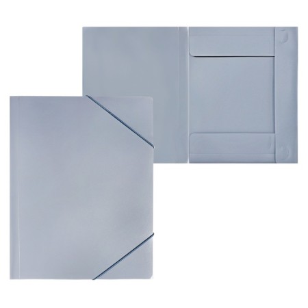 A4, 500MKM, calligrata elastic band folder on the elastic band, a root of 25 mm, up to 230 sheets, embossing "sand", gray-10