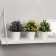 Bonsai in the Ozotamnus pot 6x16 cm, mix