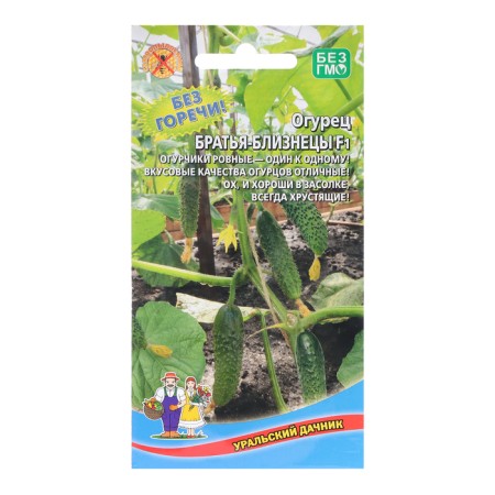 Seeds Cucumber "Brothers Gemini", 10 pcs