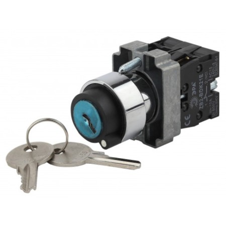 BSW80-BG-2-K02E Lay5-BG45 ERA switch to 2 positions with a key without fixing