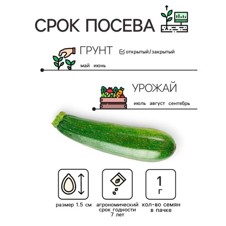 Squat seeds "Square", 1 g-1