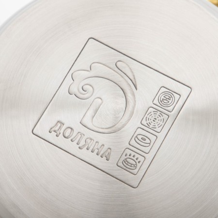 Stainless steel pan with a lid of the standard "Standard", 3 l, d = 20 cm-4