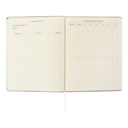 Universal diary for grade 1-11 "Take me such", solid cover, artificial leather, foam rubber, silkography, liesse, 80 g/m2-5
