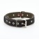 The collar combined dimensionless, leather/tarpaulin, 65 x 3.5 cm, Osh 31-61 cm, black