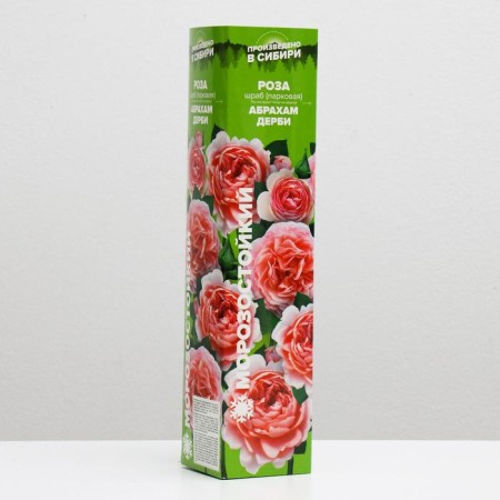 Rosa Savor's Abraham Derby, 1 pc, spring 2022