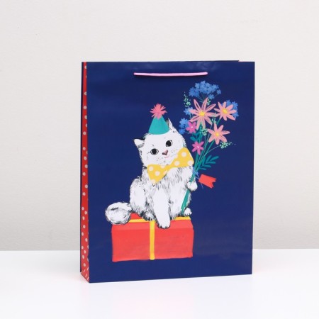 Gift package "Gift kitten" 33 x 42.5 x 10 cm