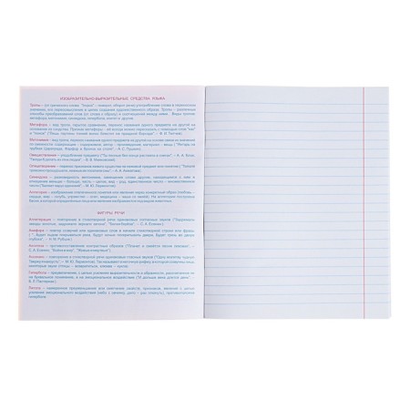 Subject “Domino”, 48 sheets in a ruler, “literature”, plastic cover, offset block-2