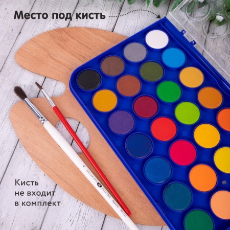Watercolor 28 colors Brauberg Premium, round cuvettes 28 mm, in the pencil case-3