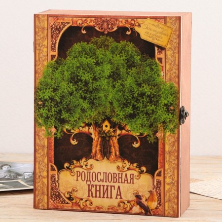 The genealogy book in the box "Tree of Life", 56 sheets, 20 x 26 cm-2